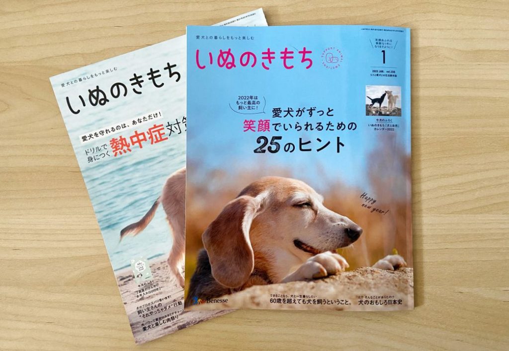 雑誌【いぬのきもち】犬を初めて飼う人にも！3月号の特集は「愛犬の命